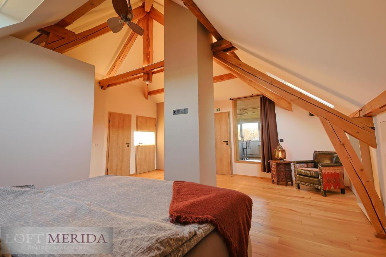 Loft Merida - Designer Apartment With Large Bathtub Butgenbach Bagian luar foto